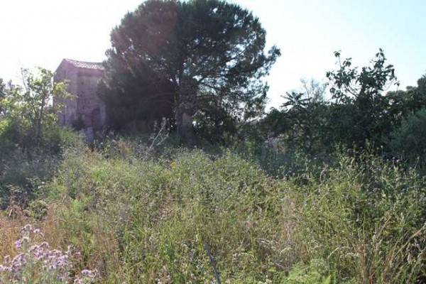 Terreno a Diamante in via degli ulivi - Foto 3