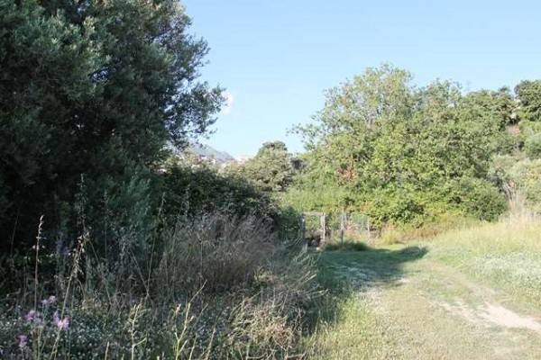 Terreno a Diamante in via degli ulivi - Foto 4
