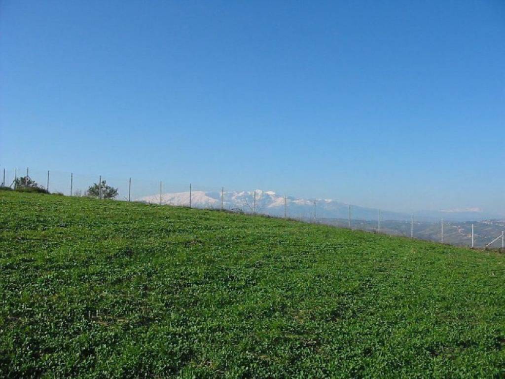 Terreno a Cupello in Provinciale 212 ex Strada Statale 86 - Foto 3