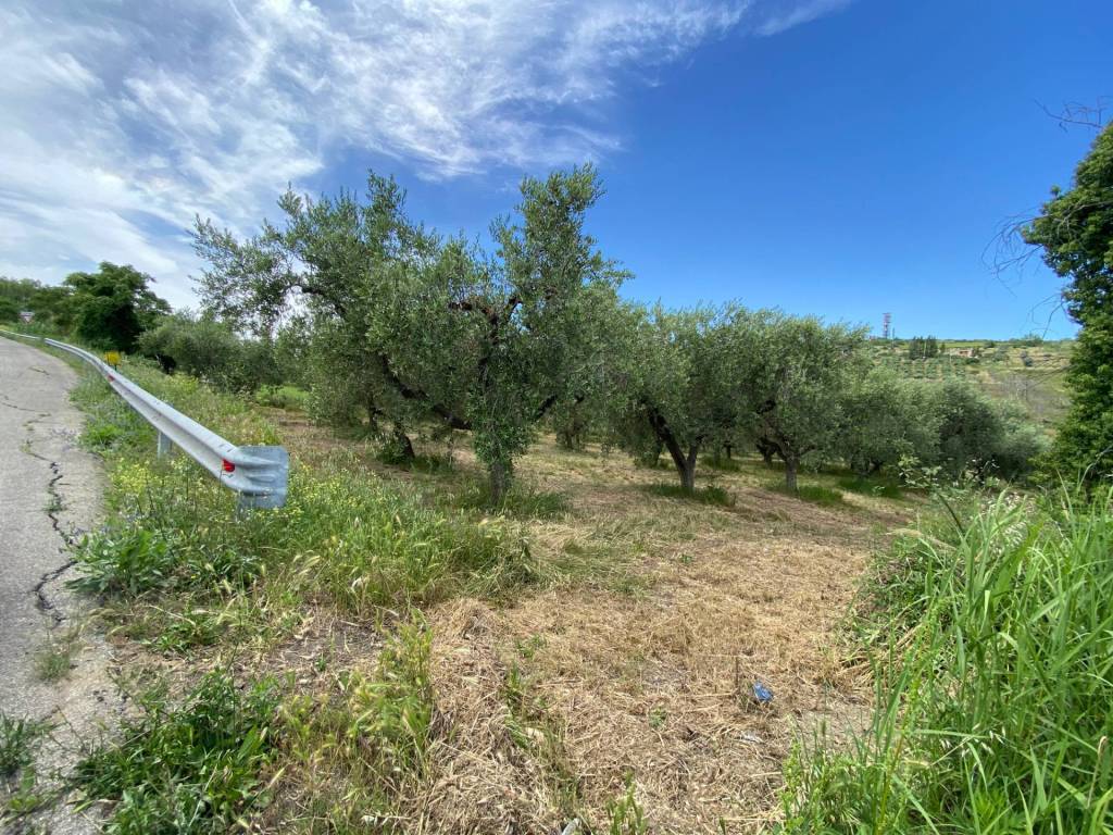 Terreno a Cupello in Contrada Strane - Foto 3