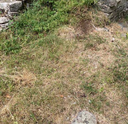 Rustico / casale a Pievepelago in Tagliole - Foto 2