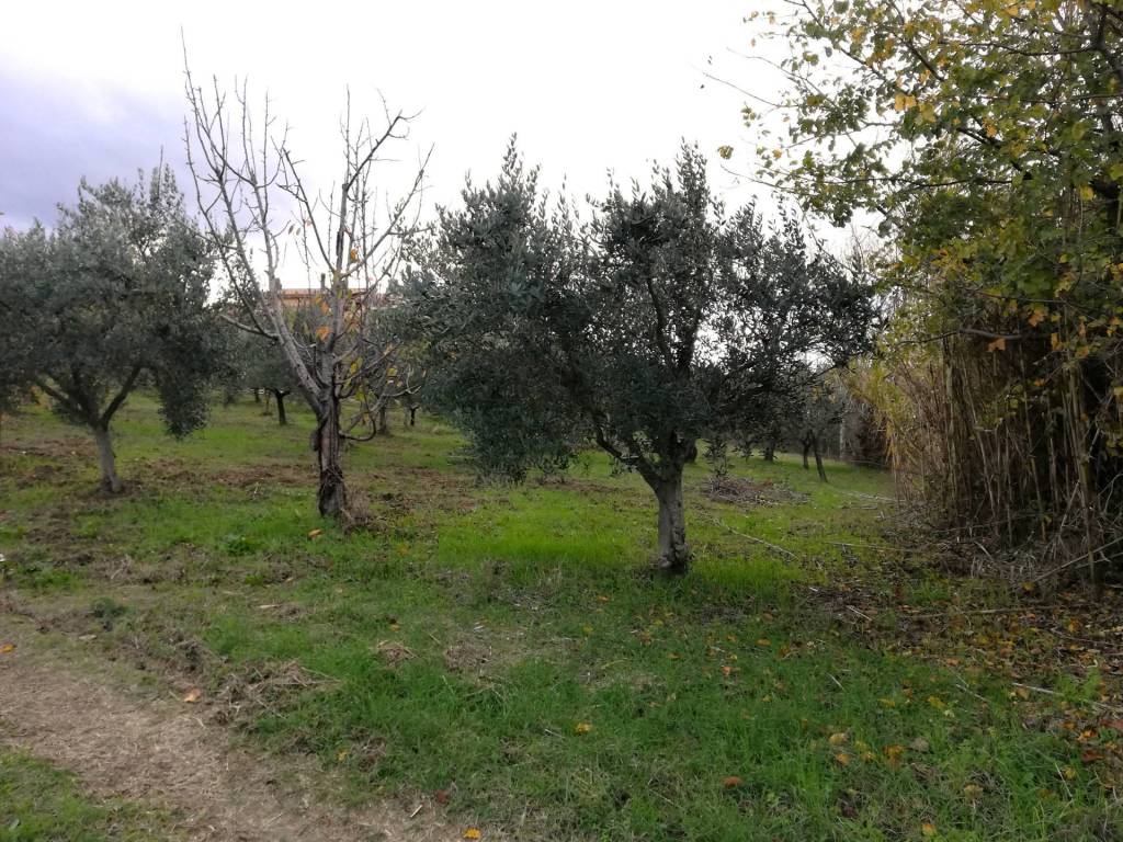 Terreno a Cupello in Aragona - Foto 2
