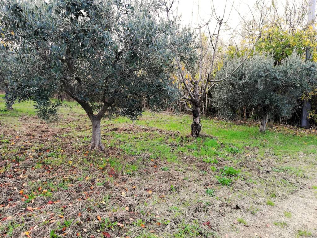 Terreno a Cupello in Aragona - Foto 4