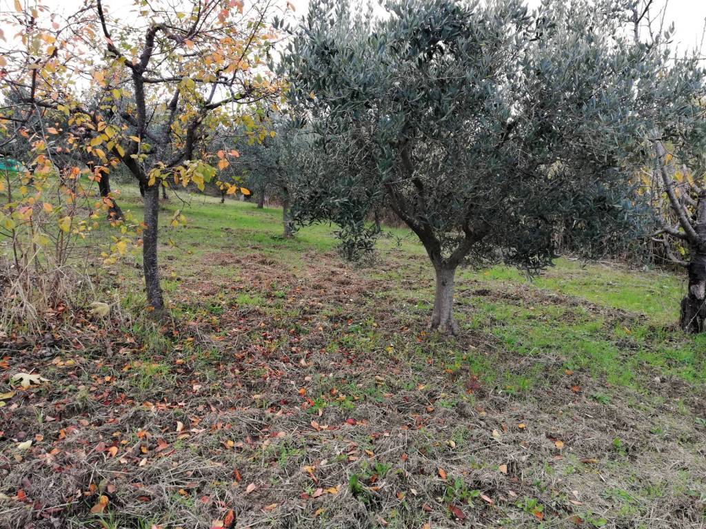 Terreno a Cupello in Aragona - Foto 5