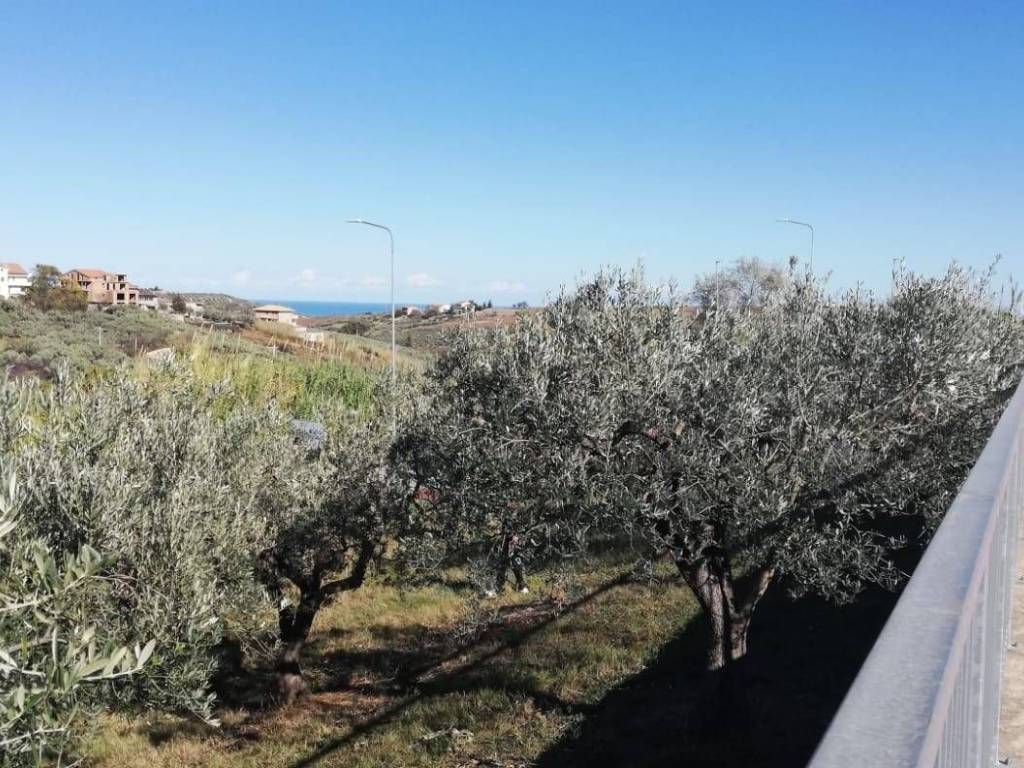 Terreno a Cupello in viale Giovanni XXIII - Foto 3