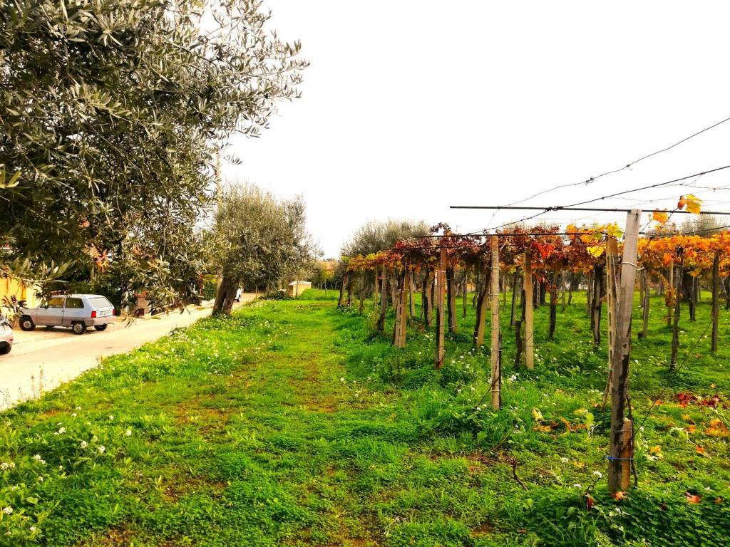 Terreno a Vasto in dei Bontempi - Foto 3