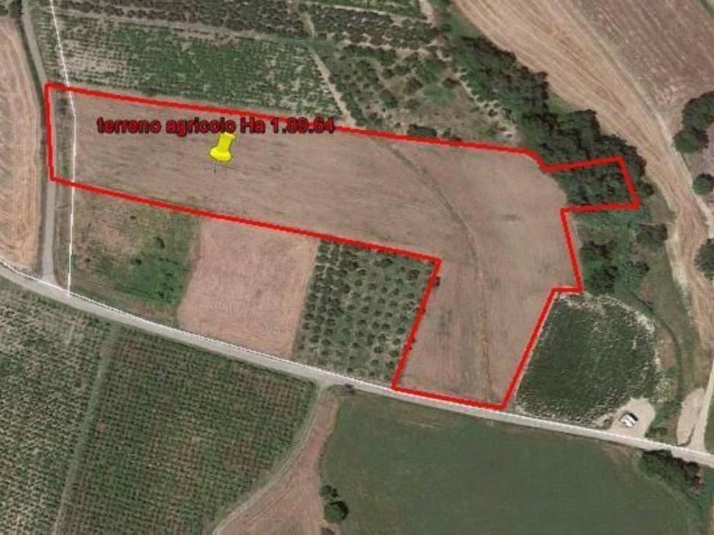 Terreno a Cupello in senza nome - Foto 2