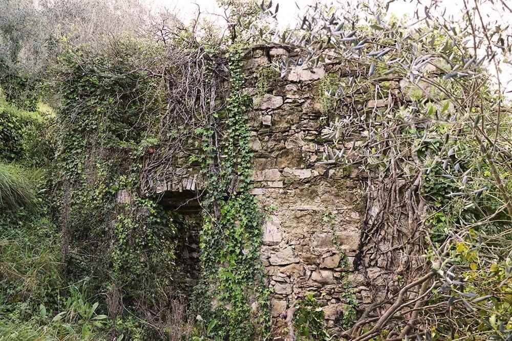 Terreno a Isolabona - Foto 2