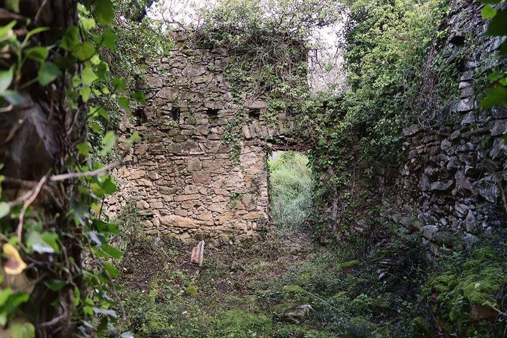 Terreno a Isolabona - Foto 4