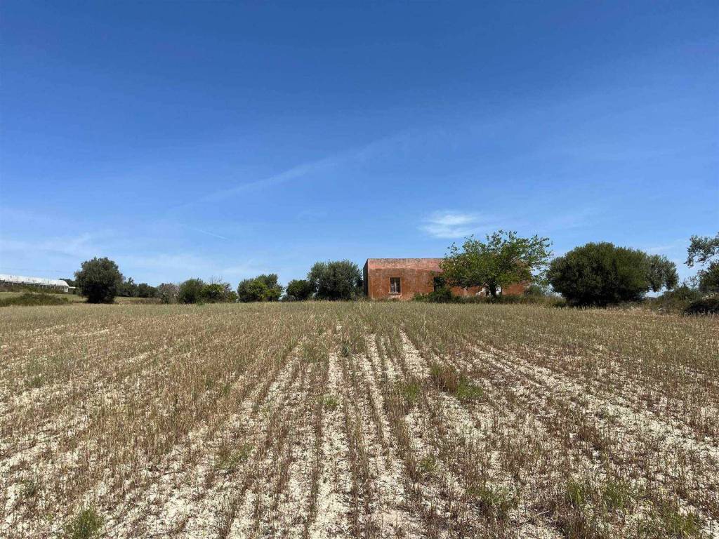 Terreno a Noto in Maccari - Foto 4