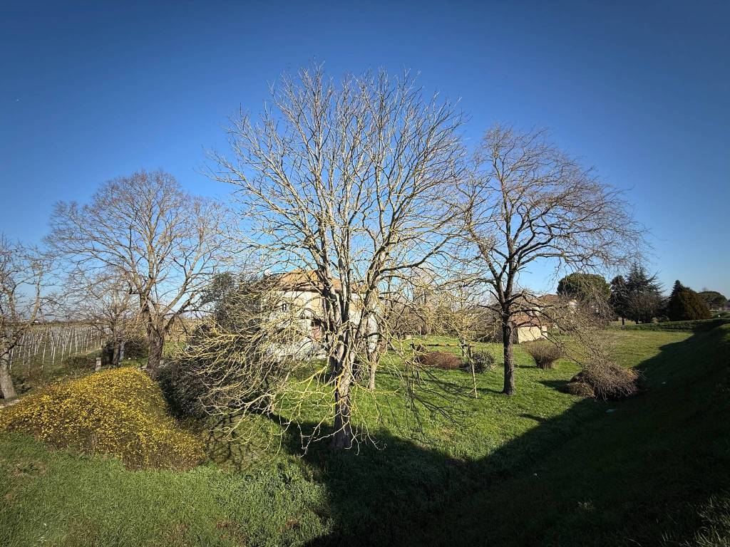Villa a Argenta in Via Maria Margotti, 63 - Foto 5