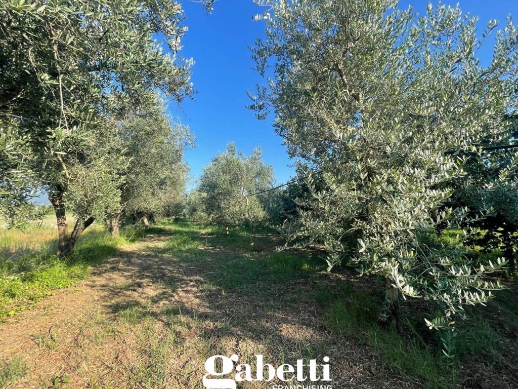 Terreno a Vitulazio in Strada statale Appia - Foto 2
