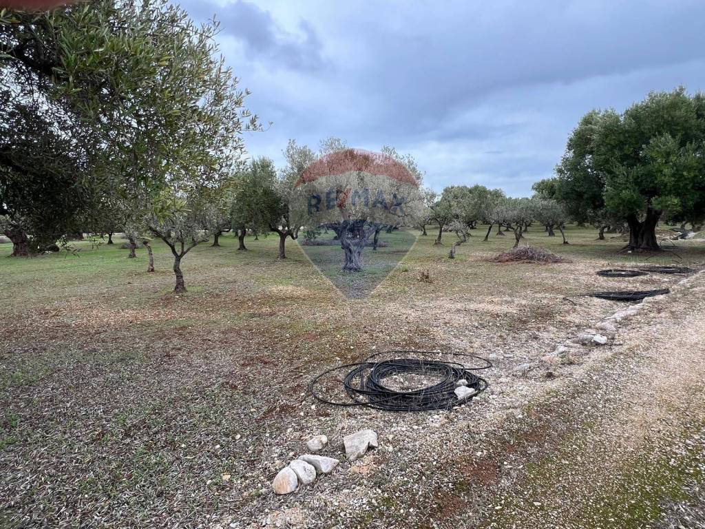 Terreno a Monopoli in C.da Guidano - Foto 2