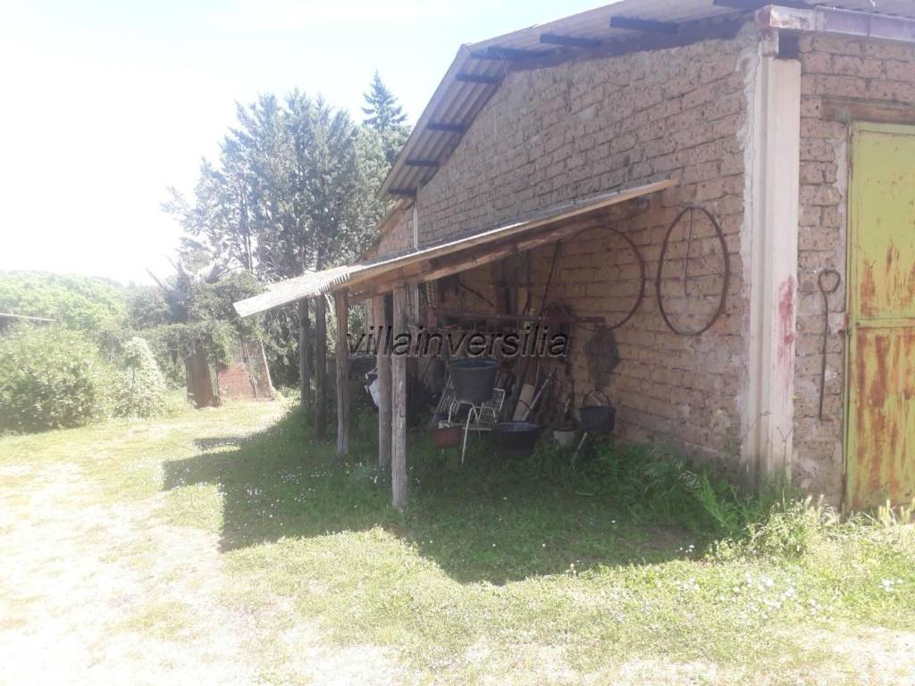 Rustico / casale a Manciano - Foto 4