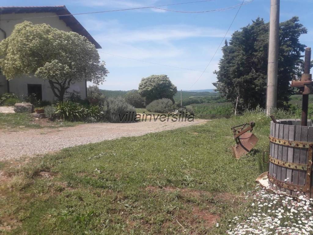 Rustico / casale a Manciano - Foto 5