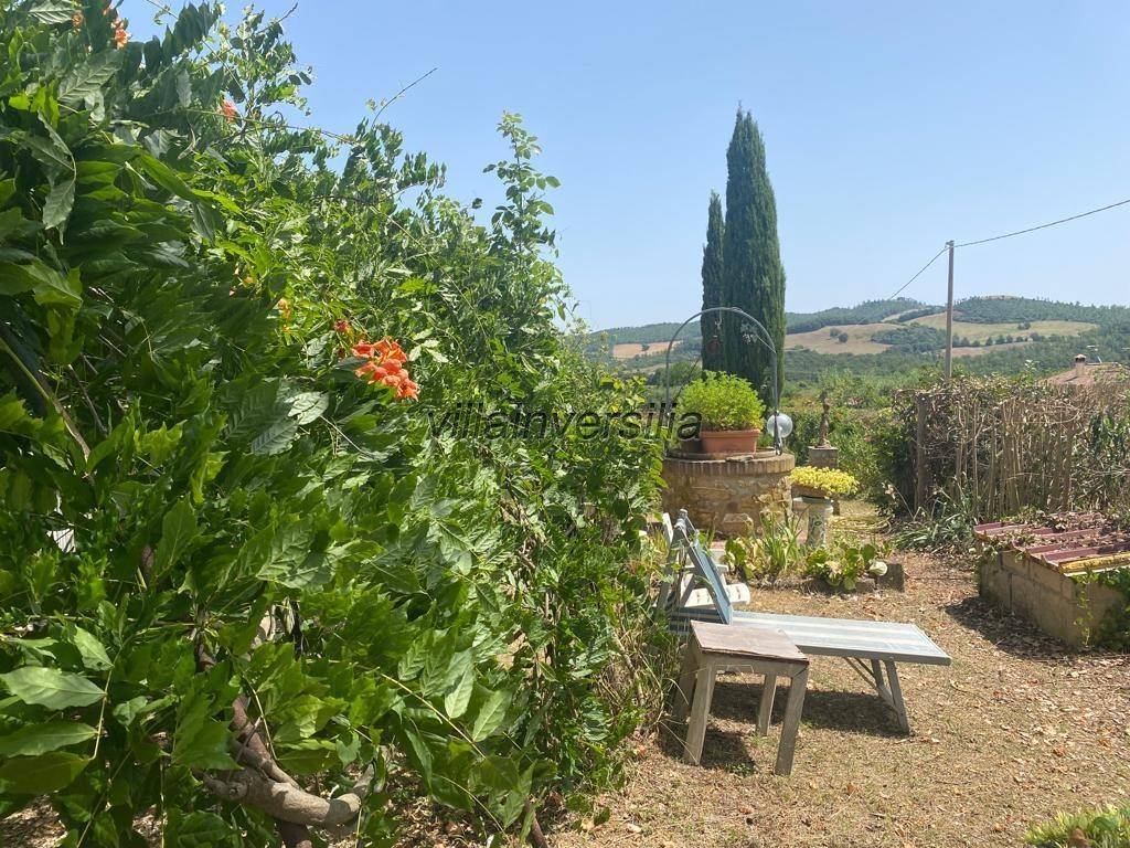 Rustico / casale a Manciano - Foto 2