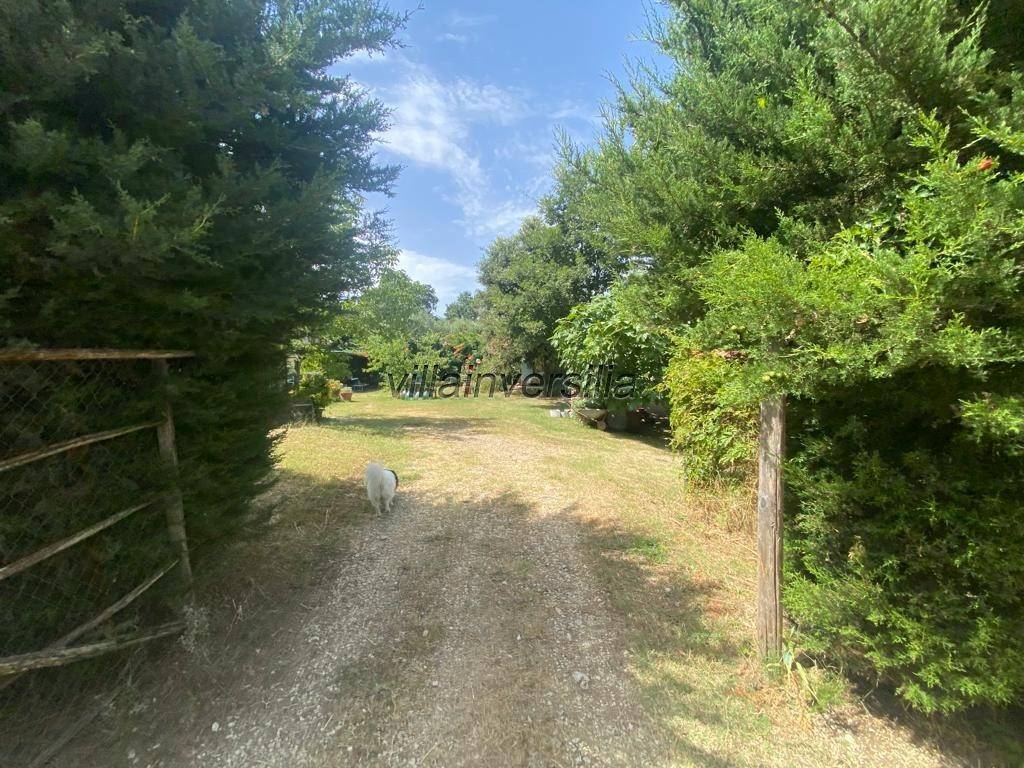 Rustico / casale a Manciano - Foto 3