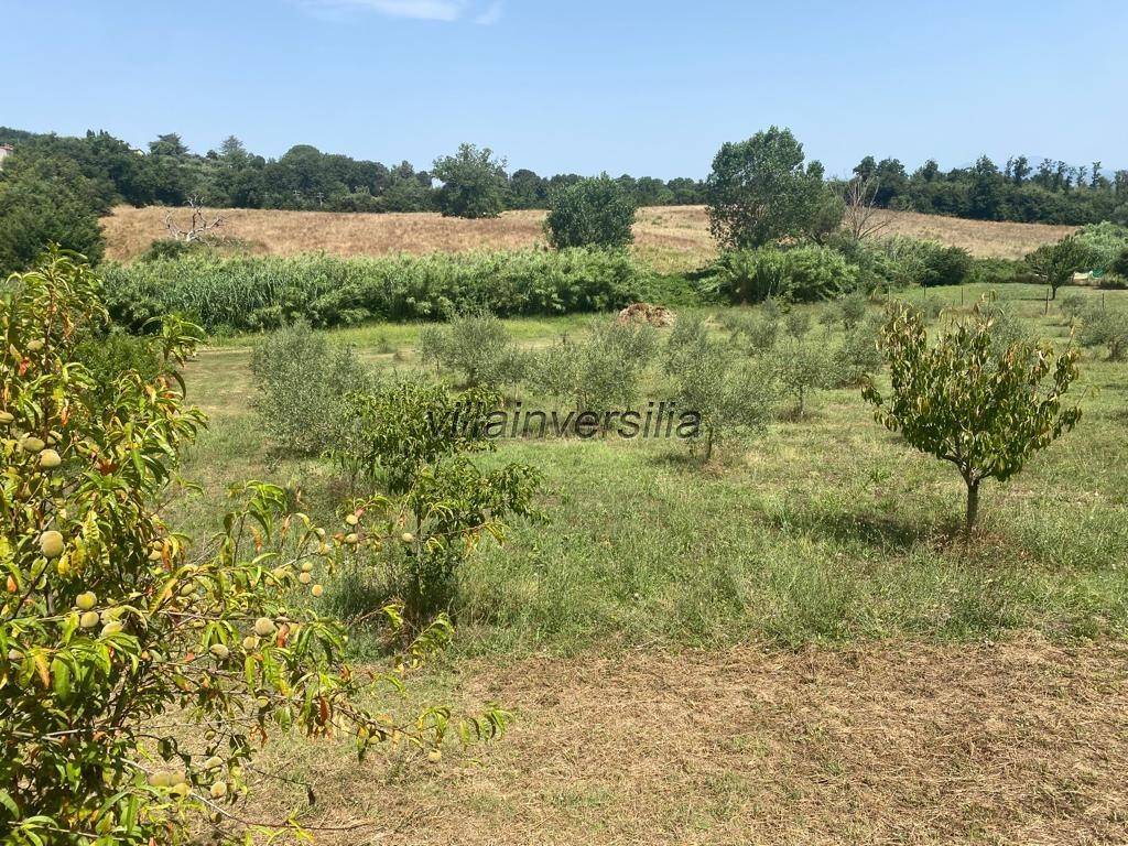 Rustico / casale a Manciano - Foto 4