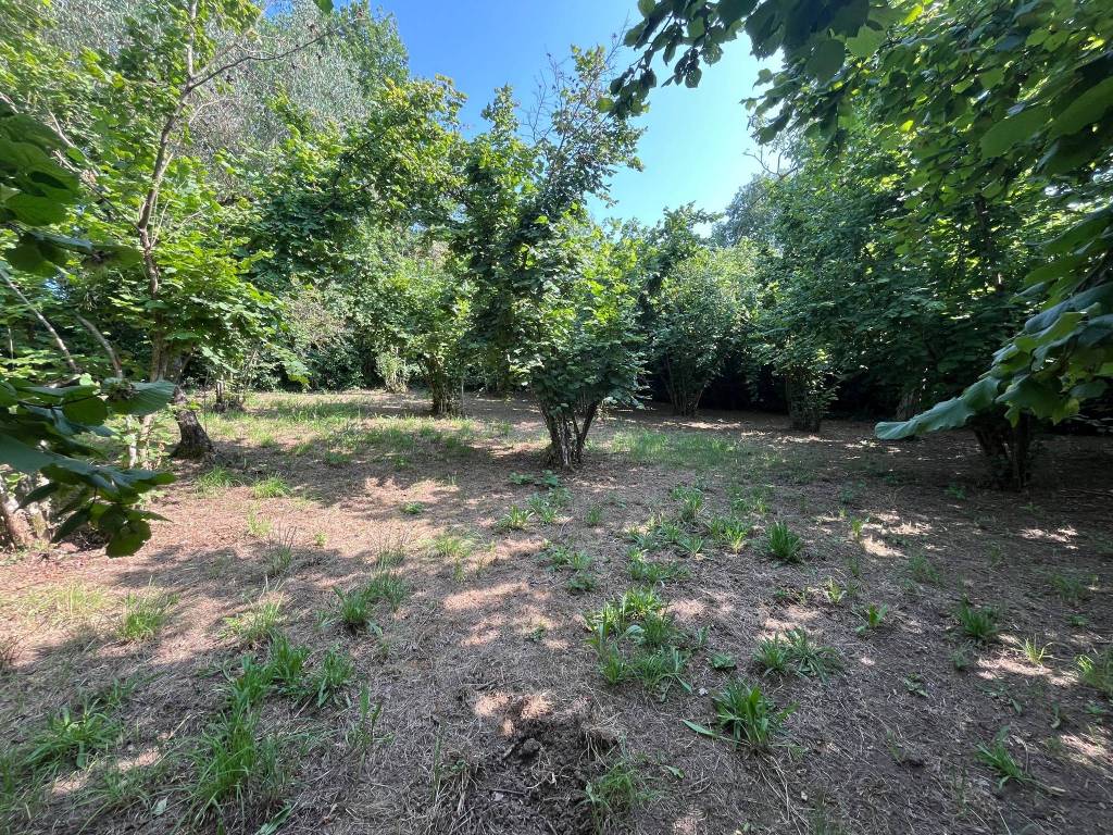 Terreno a Bassano in teverina in Via dello Speco - Foto 4