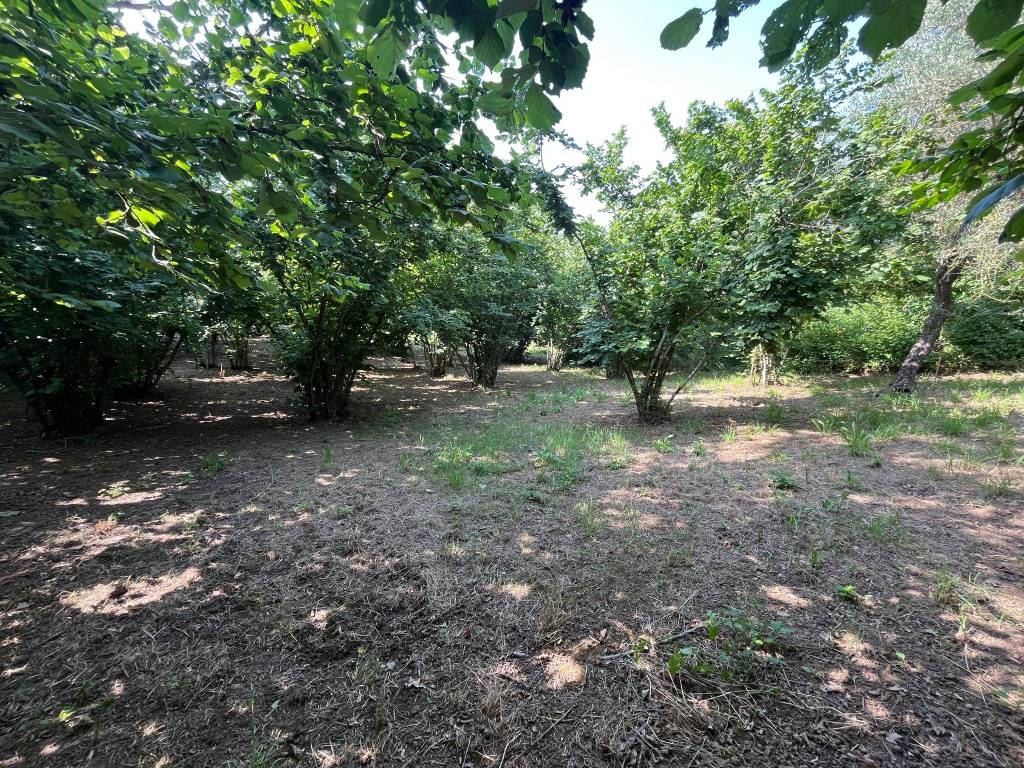 Terreno a Bassano in teverina in Via dello Speco - Foto 5