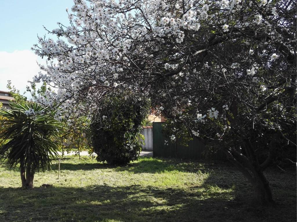 Appartamento a Oristano - Foto 5