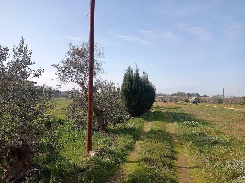 Casa indipendente a Melissano in Strada Vicinale Matino Melissano - Foto 3