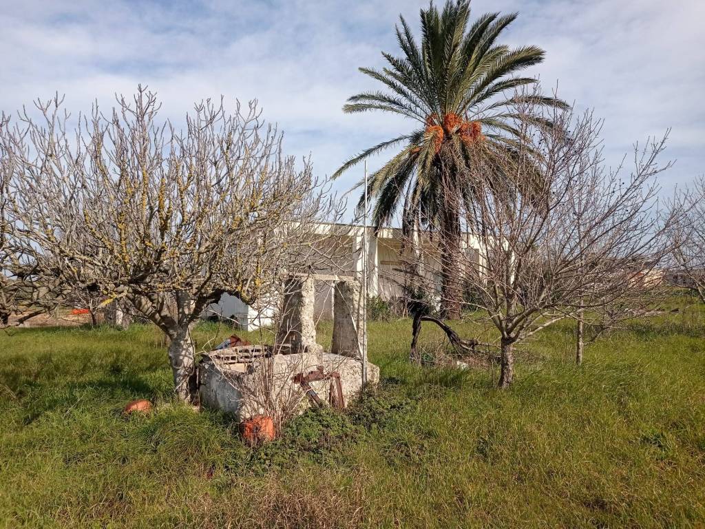 Casa indipendente a Melissano in Strada Vicinale Matino Melissano - Foto 4