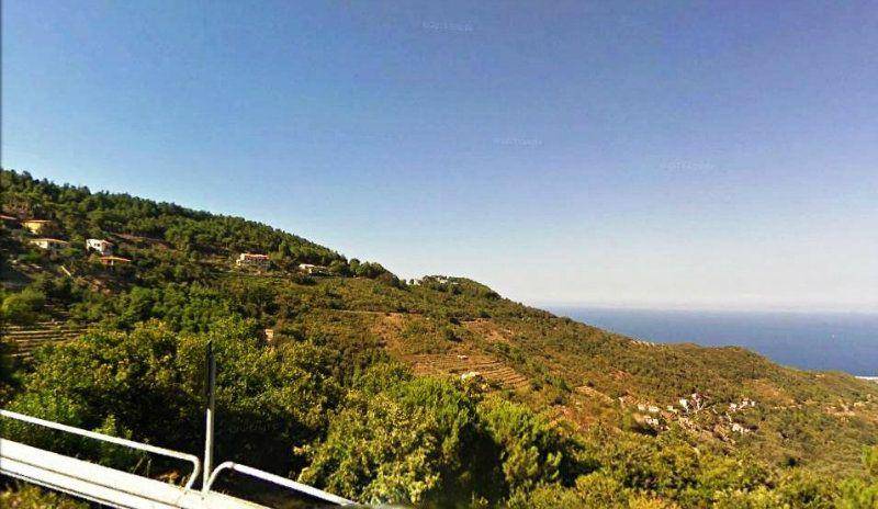 Terreno a Marciana in via per pomonte - Foto 5