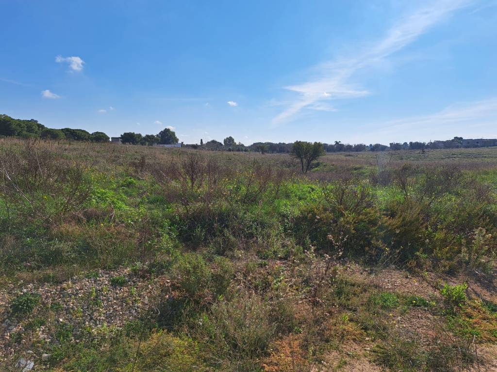 Terreno a Nardò in Via Alfredo Codacci Pisanelli - Foto 2