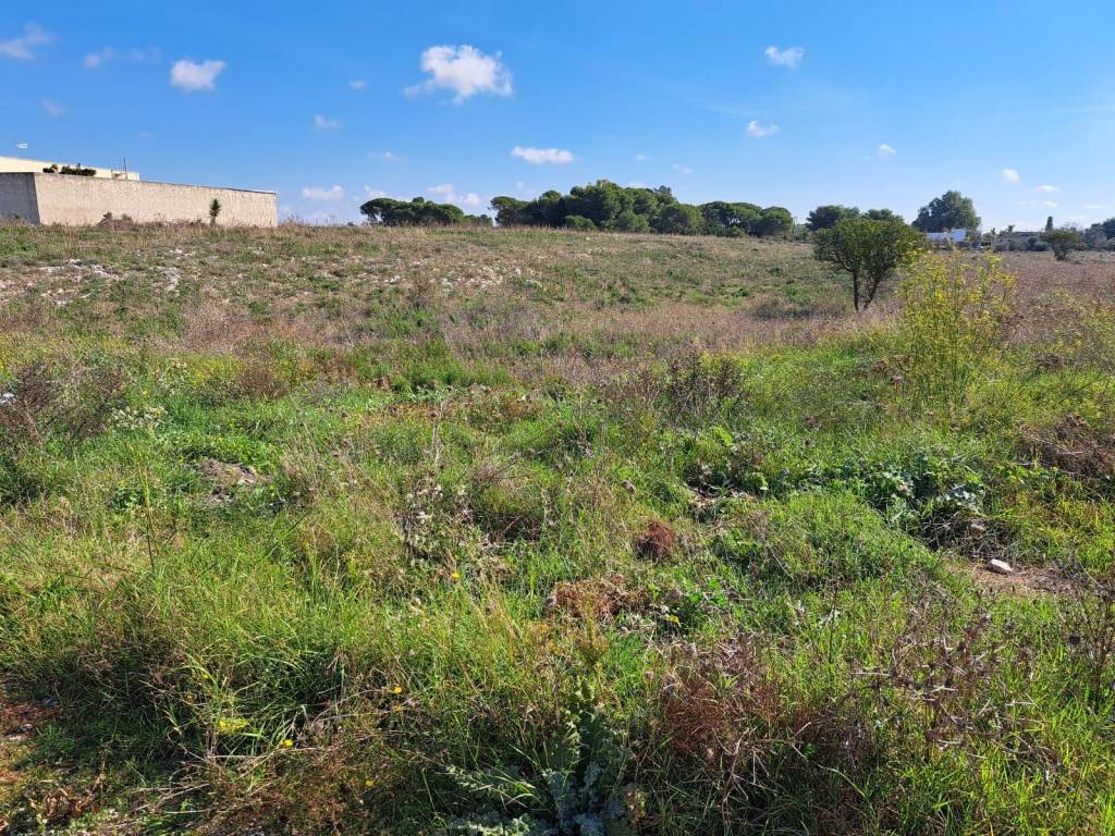 Terreno a Nardò in Via Alfredo Codacci Pisanelli - Foto 3