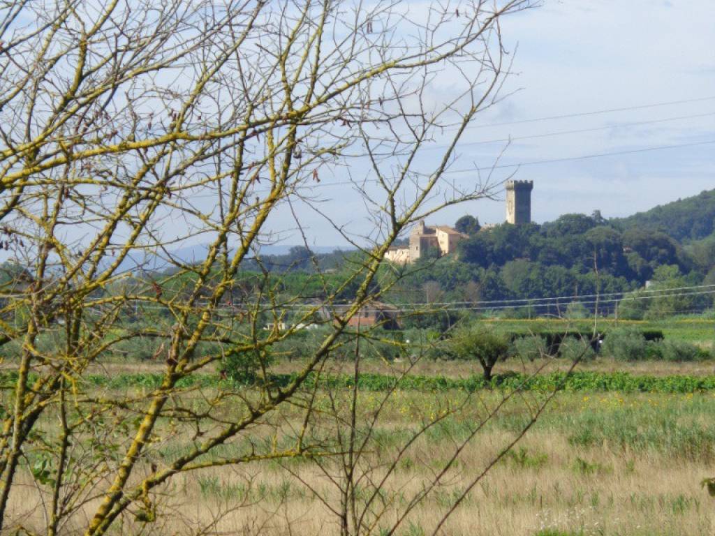 Rustico / casale a Vicopisano in Via XX Settembre - Foto 3