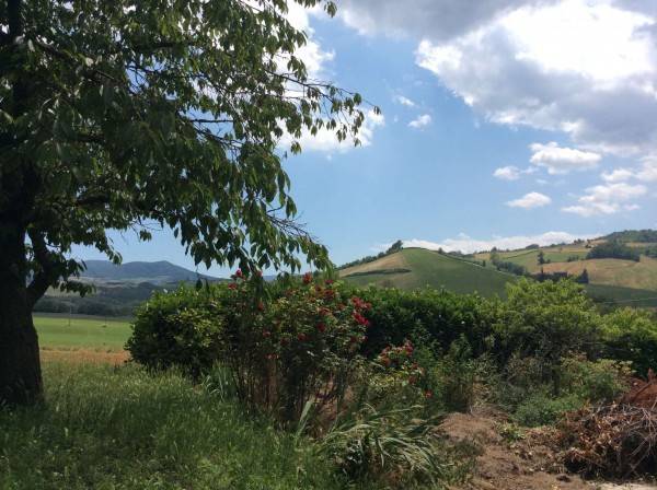 Terreno a Lugagnano val d'arda in Località Costa Ferraretta Sopra, 5 - Foto 3