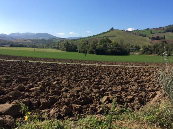Terreno a Lugagnano val d'arda in Località Costa Ferraretta Sopra, 5 - Foto 5
