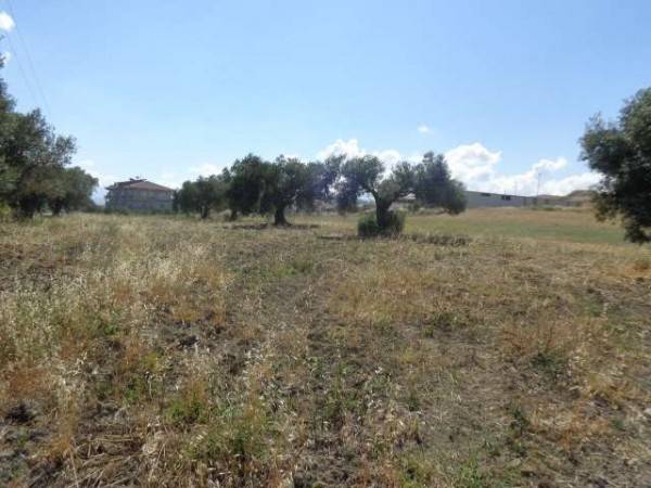 Terreno a Roccella ionica in Via Cannolaro - Foto 4