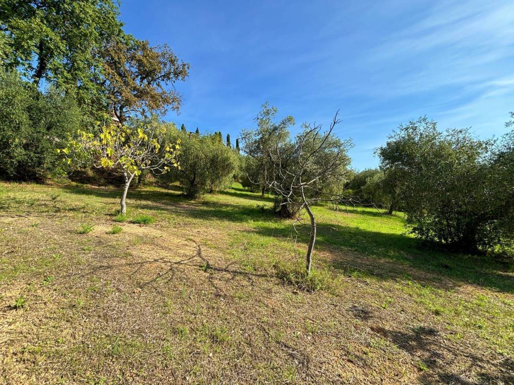Terreno a Grottammare in cuprense - Foto 4