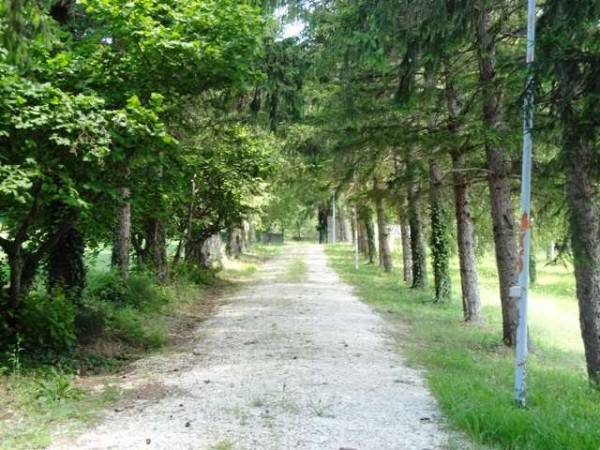 Villa a Castelraimondo in Strada Provinciale 22 - Foto 3