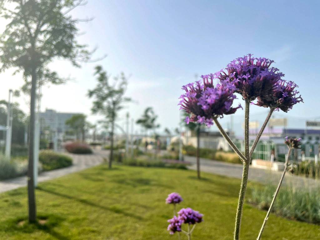 Appartamento a Riccione in Viale Lugo - Foto 5