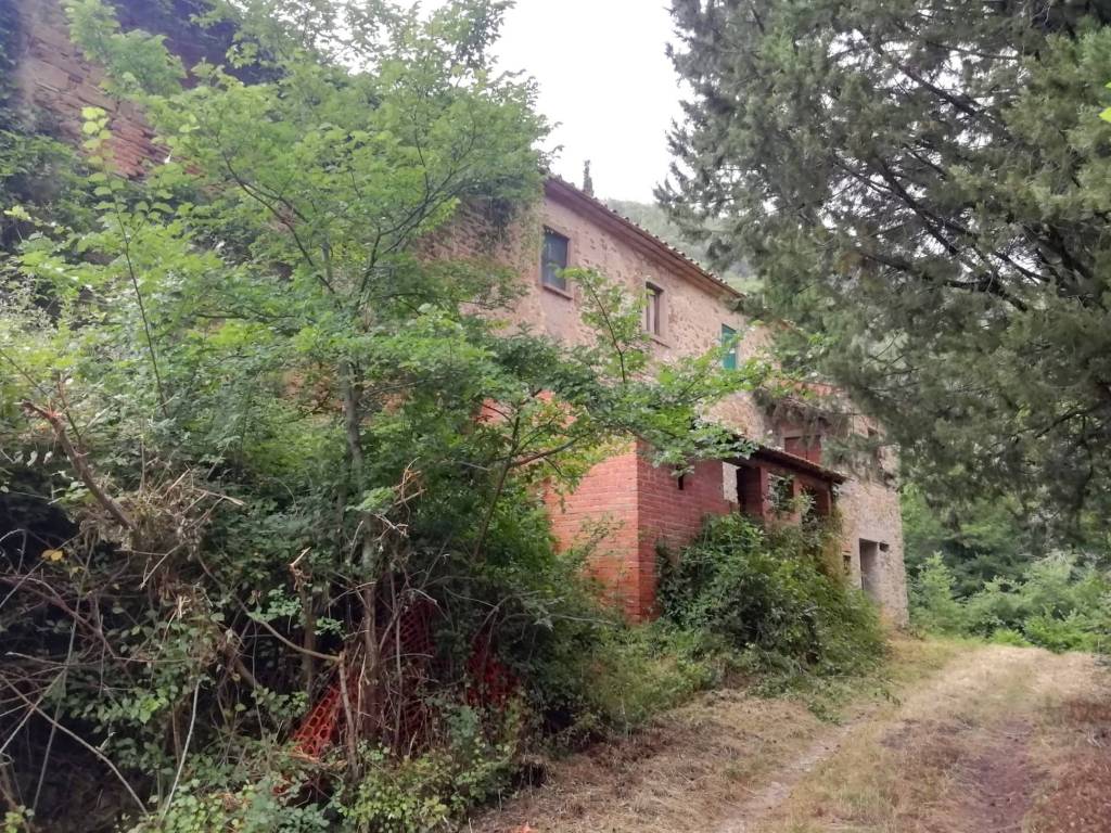 Rustico / casale a Subbiano in Località Ca' di Buffa - Foto 3