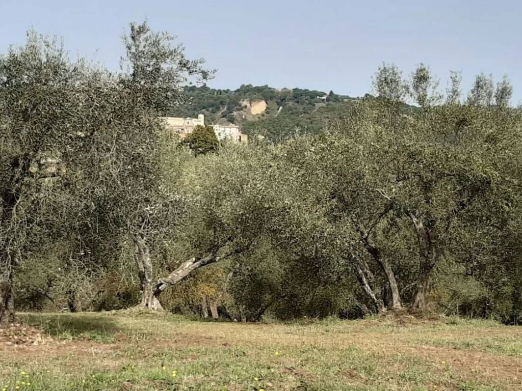 Terreno a Viterbo in Strada Di Magugnano, 1 - Foto 2