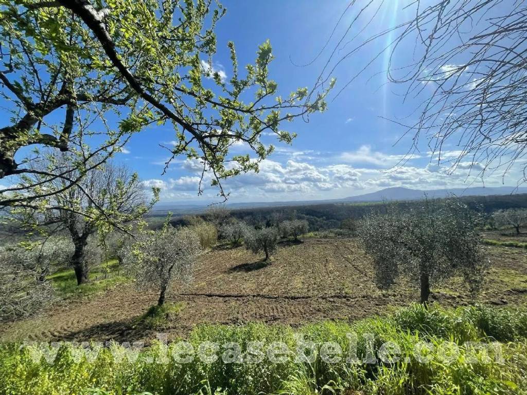 Rustico / casale a Celleno in Strada Provinciale 11, 9 - Foto 2