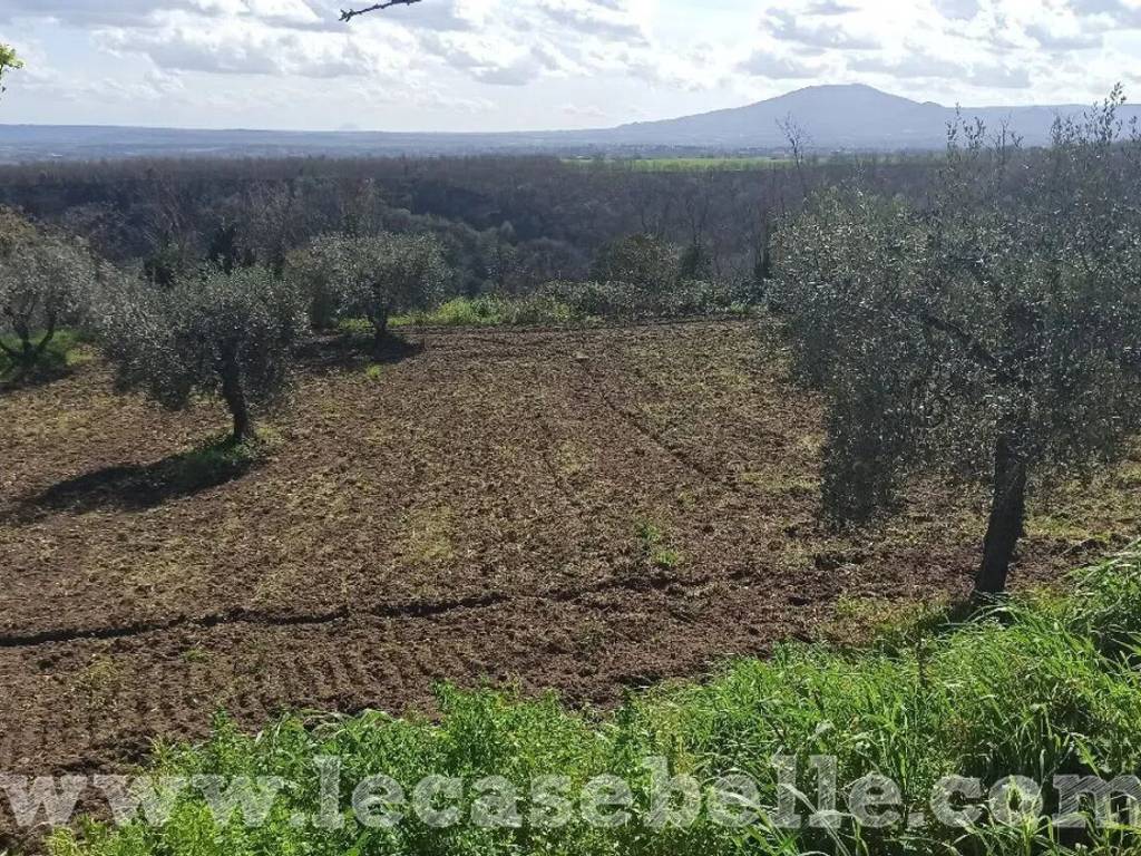 Rustico / casale a Celleno in Strada Provinciale 11, 9 - Foto 4