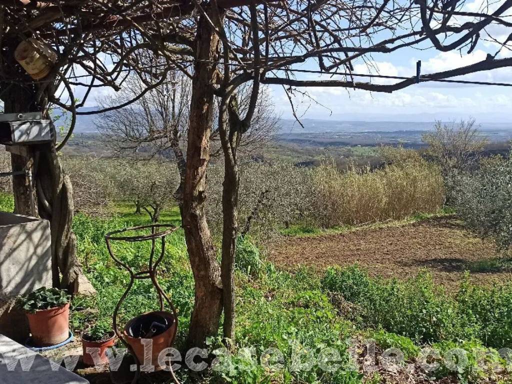 Rustico / casale a Celleno in Strada Provinciale 11, 9 - Foto 5