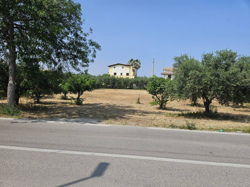 Terreno a Cepagatti in Via Quattro Venti - Foto 3