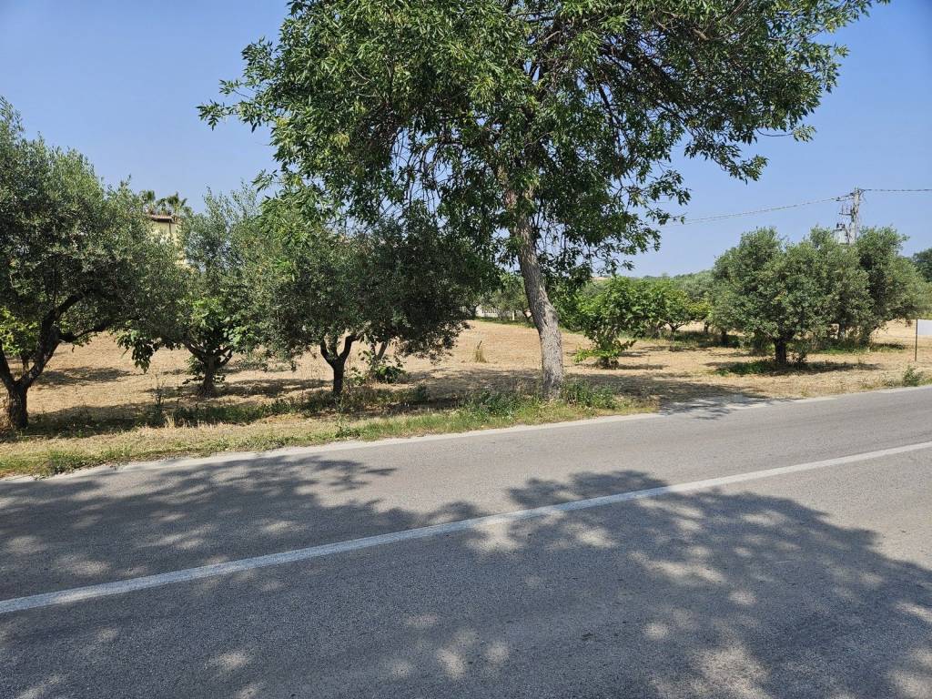 Terreno a Cepagatti in Via Quattro Venti - Foto 4