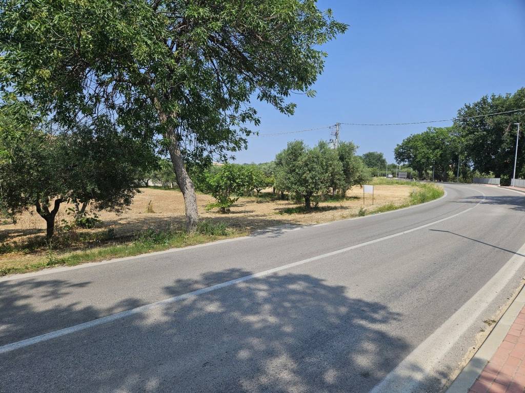Terreno a Cepagatti in Via Quattro Venti - Foto 5