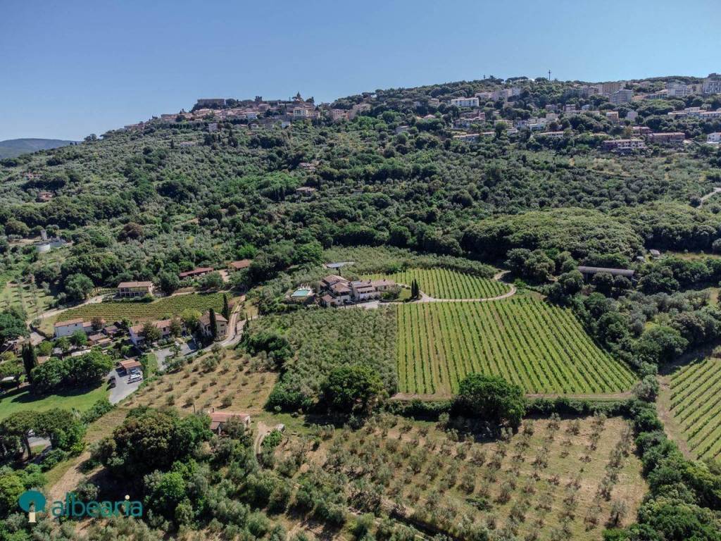 Terreno a Massa marittima - Foto 3