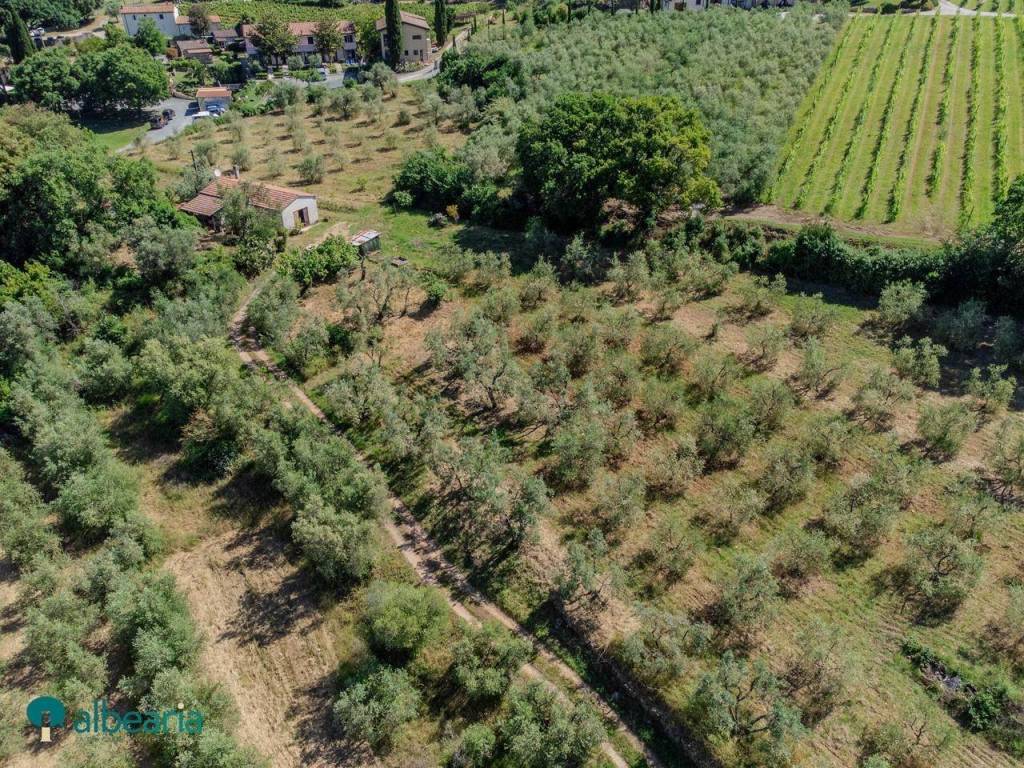 Terreno a Massa marittima - Foto 5
