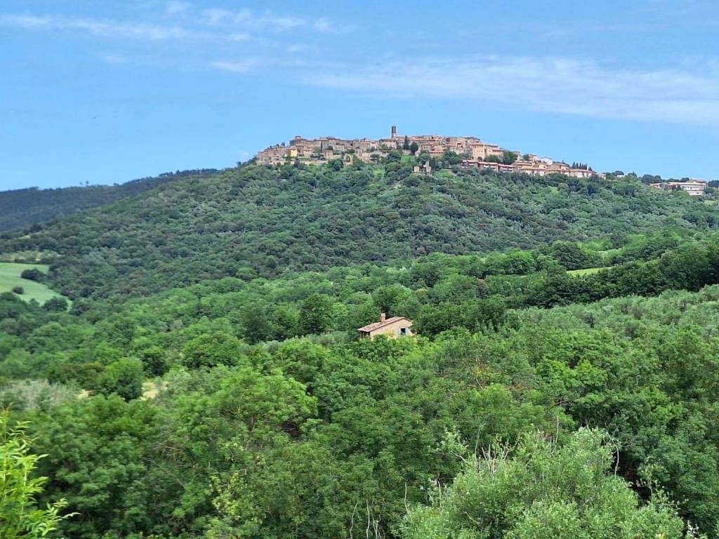 Rustico / casale a Civitella paganico in Strada Statale di Paganico - Foto 3
