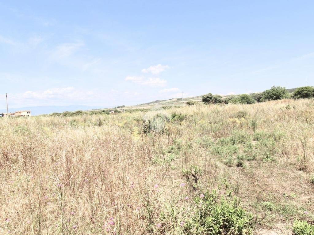Terreno a Isola di capo rizzuto in Località Santa Domenica - Foto 2