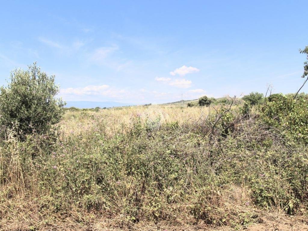 Terreno a Isola di capo rizzuto in Località Santa Domenica - Foto 3